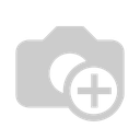 Miniatuurdorp.webp