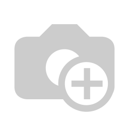 Miniatuurdorp.webp