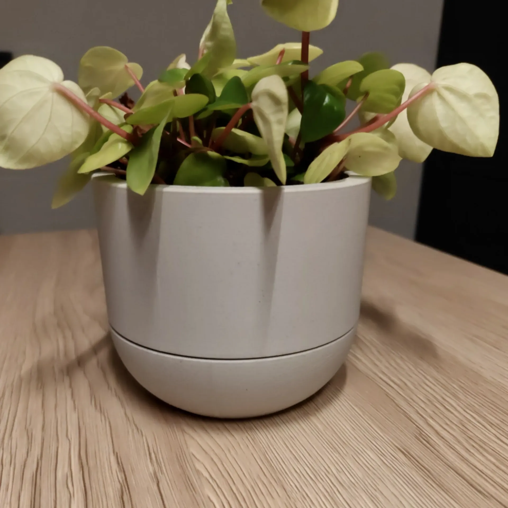Plantenpot - Double (Matte Army  dark green)